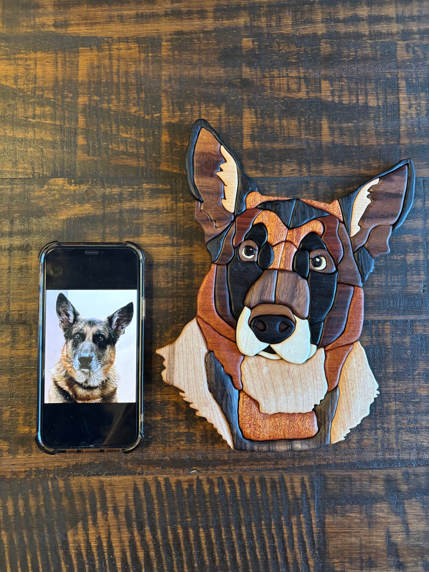 Custom Order: Pet Portrait, Remaining Balance